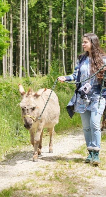 Donkey  and I taking a walk through the woods.