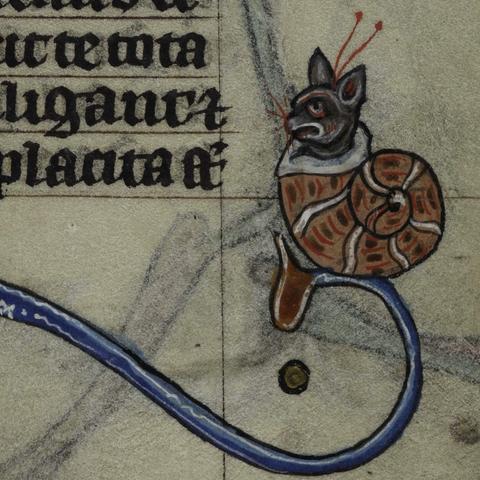 medieval marginalia: illustration of a grey cat head with orange antennae and whiskers poking out of a snail shell with orange - red - black - white coloration, perched on the end of a blue curved ornamentation, with a bit of text visible to upper left (cropped)