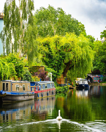 Canal boats and swan