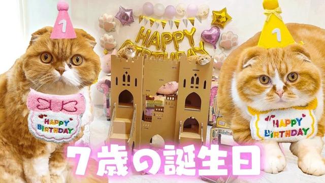 まるお & もふこ 7歳の誕生日に巨大なお城作って祝ってみた
