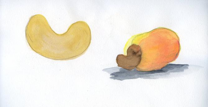 fruta