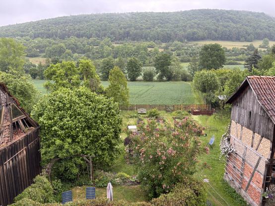 Blick auf Garten und Wald im Regen
