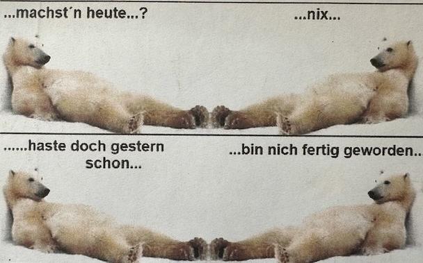 Zwei Eisbären liegen auf dem Rücken und sich gegenüber
Text:
...machst'n heute...?
...nix...
...haste doch gestern schon...
...bin nich fertig geworden...