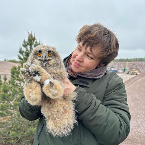 A person with short brown hair and green jacket is holding a light beige fuzzy young owl with dark yellow eyes and big curled up claws, who has a thick ring on its leg.