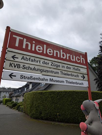 Alma, a gray Flauschhorn looking at a sign."Thielenbruch" which gives directions for three destinations. "Departing trains in the hall", "KVB education facility Thielenbruch" and "Tram museum Thielenbruch"