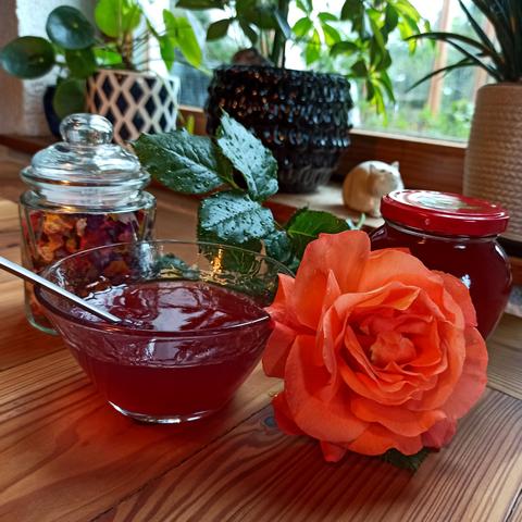 Rosengelee im Glas und in einem Schälchen, Blüte der Rose Westerland und ein Glas mit getrockneten Blütwn auf einem Holztisch, im Hintergrund ein Blumenfenster