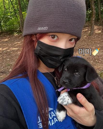 250525 kimxxlip-犬のシェルターアップデートでのキムリップボランティア