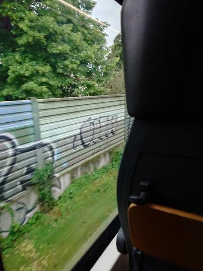 Foto aus einem fahrenden Zug, im Vordergrund ein Teil eines Sitz, direkt neben dem Fenster eine Schallschutz-Wand mit Graffiti und Bäume im Hintergrund