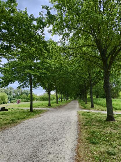 Grüne Bäumen säumen rechts und links einen Schotterweg. Der Himmel ist bewölkt mit blauen Flecken.