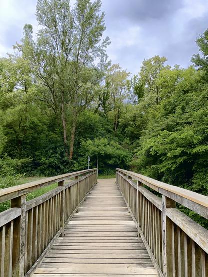 Eine Holzbrücke führt über einen Bachlauf. Im Hintergrund stehen viele Bäume vor bedecktem Himmel.