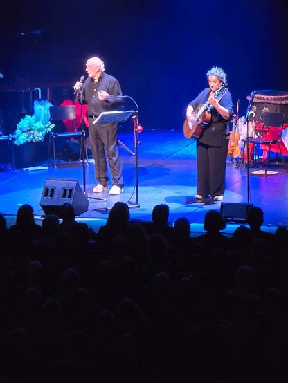 Das Bild zeigt eine Live-Musikperformance auf einer Bühne. Zwei Personen stehen auf der Bühne: ein älterer Mann mit weißem Haar, der ein Mikrofon hält und singt, und eine Frau mit graumelierten Haaren, die eine Gitarre spielt. Der Mann trägt ein schwarzes Hemd und dunkle Hosen, während die Frau ein dunkles Oberteil und schwarze Hosen trägt. Beide tragen weiße Schuhe. Die Bühne ist mit Musikinstrumenten wie einem Kontrabass und einem Tamburin ausgestattet. Die Beleuchtung ist blau, und die Bühne ist von einem dunklen Hintergrund umgeben. Im Vordergrund sind die Silhouetten des Publikums zu sehen, die das Konzert verfolgen.