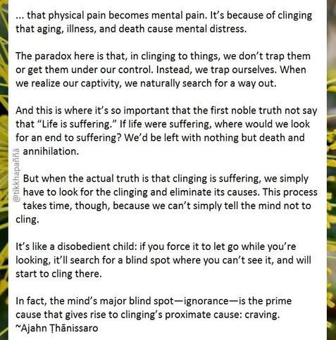 ... that physical pain becomes mental pain. It’s because of clinging that aging, illness, and death cause mental distress.
The paradox here is that, in clinging to things, we don’t trap them or get them under our control. Instead, we trap ourselves. When we realize our captivity, we naturally search for a way out.
And this is where it’s so important that the first noble truth not say that “Life is suffering.” If life were suffering, where would we look for an end to suffering? We’d be left with nothing but death and annihilation.
But when the actual truth is that clinging is suffering, we simply have to look for the clinging and eliminate its causes. This process takes time, though, because we can’t simply tell the mind not to cling.
It’s like a disobedient child: if you force it to let go while you’re looking, it’ll search for a blind spot where you can’t see it, and will start to cling there.
In fact, the mind’s major blind spot—ignorance—is the prime cause that gives rise to clinging’s proximate cause: craving.
~Ajahn Ṭhānissaro