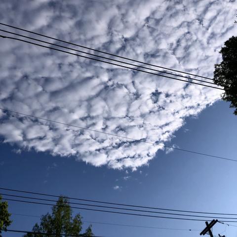 A cloud bank with a corner floats against the early morning sky 

Some tree tops are partially visible around the edges of the photo, and power lines cross horizontally near the bottom and upper third of the photo