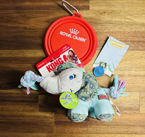 Souvenirs Rocket received from the RSPCA / an elephant kong toy, water bowl come frisbee, blue metal dog tag