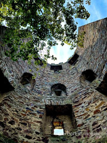 Blick nach oben in einen halboffenen, runden gemauerten Wehrturm mit sichtbaren Schießscharten. Im oberen Teil zum Himmel hin Äste und Blättern eines Baums, der in dem geschützten Bereich wächst.