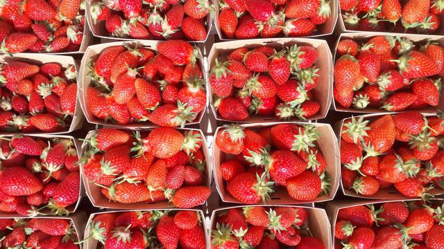 Une caisse pleine de barquettes de fraises
