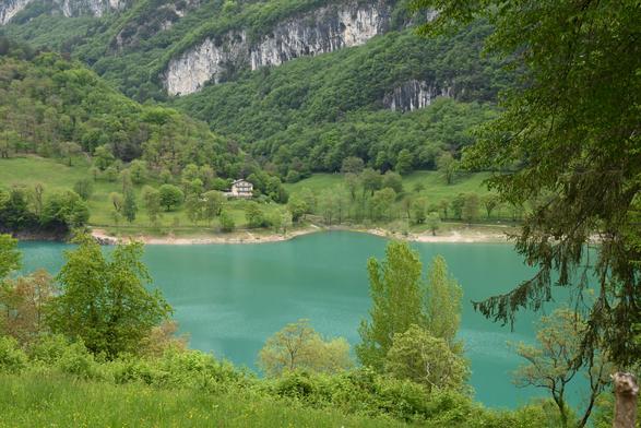 In einer Baumlandschaft sieht man den Ausschnitt eines türkisfarbenen Sees. Er ist eingerahmt von den verschiedensten Baumarten und im Hintergrund erhebt sich eine Steinwand.