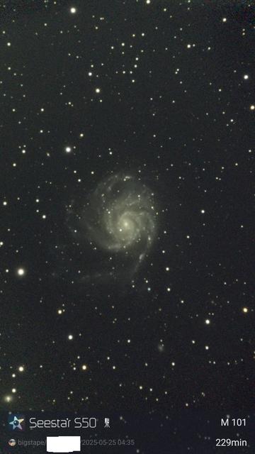 Face on spiral galaxy M101