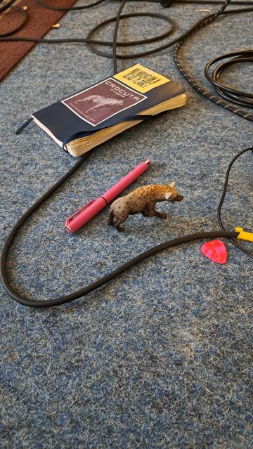 We see a few things on an old grey carpet. Cables, a pink pen, a pink guitar pick, a little figure oft a hyena and a notebook with two stickers on it. One is a picture of another hyena and the bandname "crocuta" and the other reads "No music in a dead planet".
