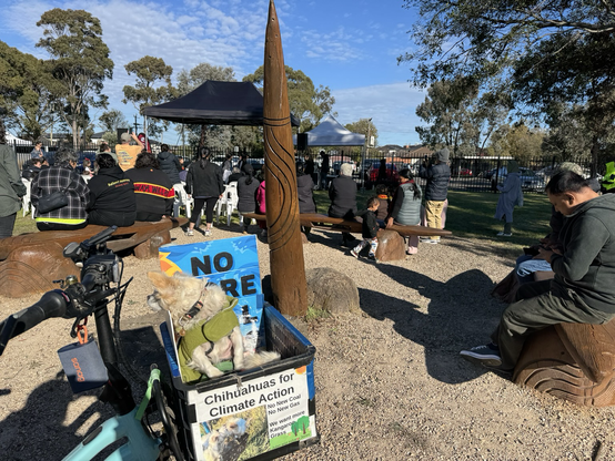 Two chihuahuas in front of totem pole at Ballerrt Mooroop College