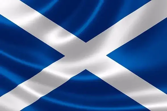 The flag of #Scotland... a mid blue background and a diagonal white cross...