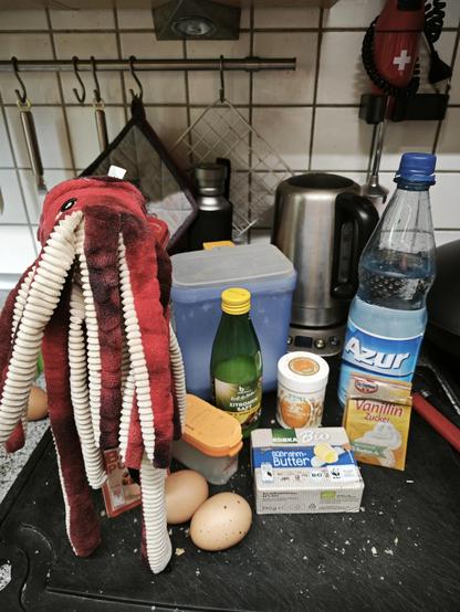 Schack, der Kalmar, hat alle benötigten Zutaten herausgesucht