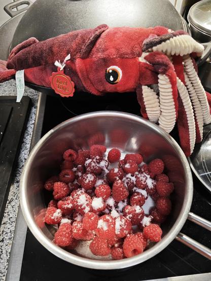 Die Himbeeren werden mit etwas Zitronensaft und Zucker heiß gemacht