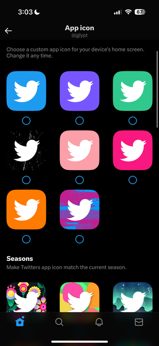 A selection of custom app icons featuring variations of the Twitter logo is displayed for choosing a home screen icon.