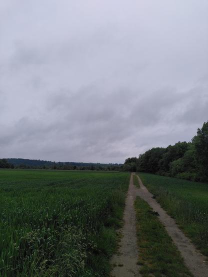 Clouds over a Green field.