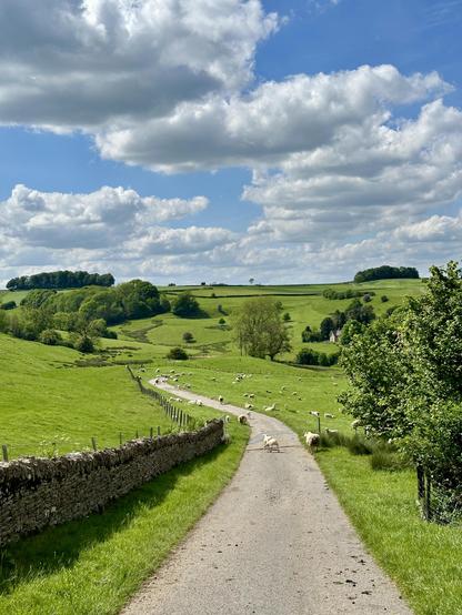 A road winds into a grassy, hilly valley populated by spring lambs and their mothers, under a blue spring sky with scattered fluffy white clouds. A dry stone wall lines the road to the left and clumps of woodland dot the hillsides.