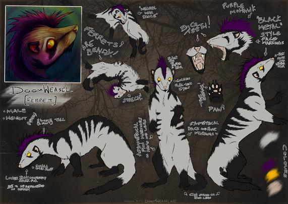 Reference sheet for "The DoomWeasel" - a pale ferret with dark markings, golden eyes and a purple mohawk