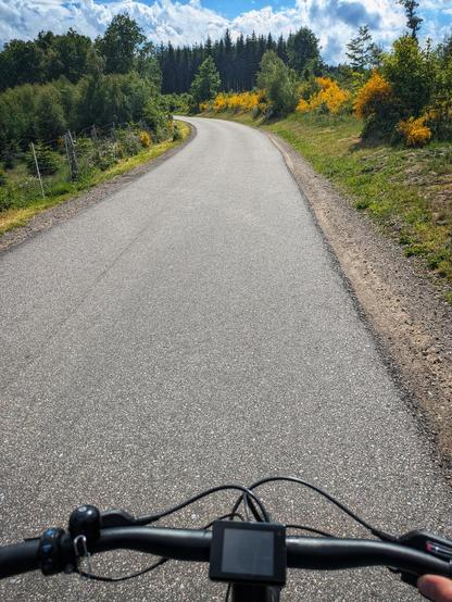 Das Bild zeigt eine Perspektive von einem Radfahrer, der auf einer asphaltierten Straße fährt. Die Straße windet sich sanft nach rechts und ist von einer grünen Landschaft umgeben. Auf der linken Seite der Straße befindet sich ein Zaun, der das Gelände abgrenzt, während die rechte Seite von Gras und Bäumen gesäumt ist. Die Bäume sind in verschiedenen Grüntönen, und einige Sträucher zeigen gelbe Blüten, was auf eine Jahreszeit wie Herbst hinweist. Der Himmel ist blau mit einigen weißen Wolken, was auf einen sonnigen Tag schließen lässt. Im Vordergrund sind die Lenker des Fahrrads zu sehen, mit einem Display, das wahrscheinlich die Fahrdaten anzeigt. Die Straße ist sauber und gut gepflegt, was auf eine ruhige und idyllische Umgebung hinweist.

[by AltBot]