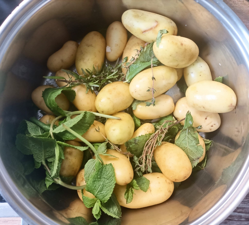 ungeschälte Kartoffeln und Kräuter in einem großen Topf