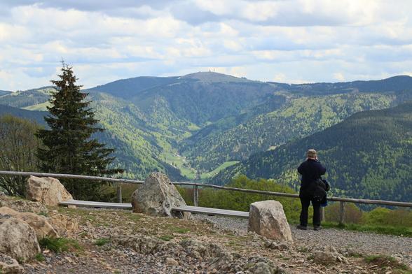 Schwarzwald: Blick von Berg Schauinsland auf den Feldberg Anfang Mai. Vorne steht ein Spaziergänger, der von hinten zu sehen ist.