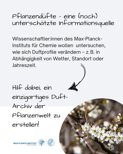 Das Bild zeigt eine blühende Schlehe. Daneben steht
Pflanzendüfte – eine (noch) unterschätzte Informationsquelle
Wissenschaftler:innen des Max-Planck-Instituts für Chemie wollen  untersuchen, wie sich Duftprofile verändern – z. B. in Abhängigkeit von Wetter, Standort oder Jahreszeit.
Hilf dabei, ein einzigartiges Duft-Archiv der Pflanzenwelt zu erstellen!