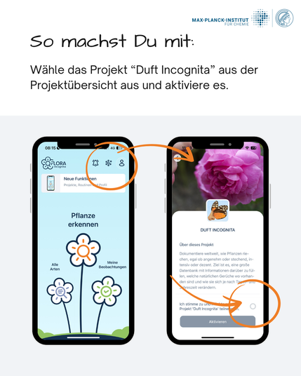 Das Bild zeigt zwei Smartphone-Mock-Ups. Auf dem ersten ist der Startbildschirm der Flora-Incognita-App zu sehen, das andere zeigt den Bildschirm, wenn man das Duf Incognita Projekt aktiviert.