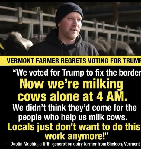 VERMONT FARMER REGRETS VOTING FOR TRUMI "We voted for Trump to fix the border Now we're milking cows alone at 4 AM. We didn't think they'd come for the people who help us milk cows. Locals just don't want to do this work anymore!" -Dustin Machia, a fifth-generation dairy farmer from Sheldon, Vermont