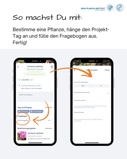 Das Bild zeigt zwei Smartphone-Screens. Der linke weit auf den Fragebogen hin, der rechte zeigt dann den Fragebogen, den man ausfüllen muss.
