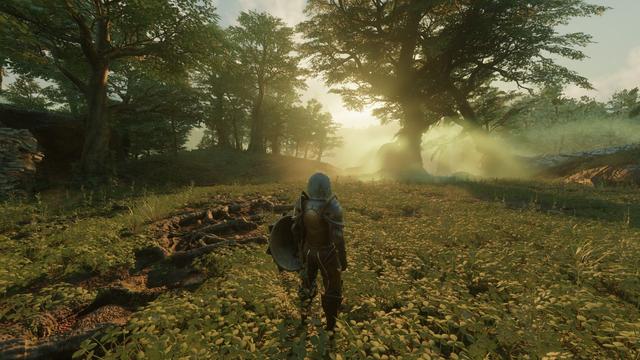 Character in the nature, shroud (fog) is seen in the distance.