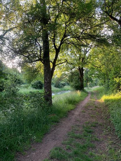 ein wanderweg einem flüsschen entlang. beide uferseiten mit üppigem gras, büschen und bäumen begrünt.
