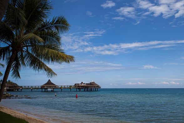 A tropical beach with a palm tree, sandy shore, calm blue sea, and a pier with a thatched-roof structure extending into the water. There are a few people enjoying the beach. The sky is clear with some clouds.