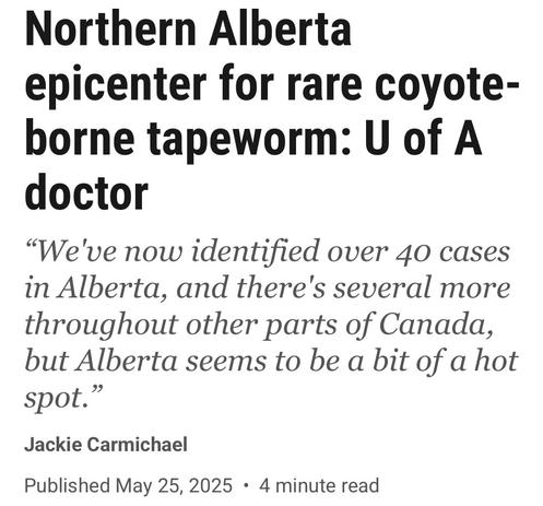 Northern Alberta
epicenter for rare coyote-
borne tapeworm: U of A
doctor

“We've now identified over 40 cases
in Alberta, and there's several more
throughout other parts of Canada,
but Alberta seems to be a bit of a hot
spot.”

Jackie Carmichael

Published May 25, 2025
