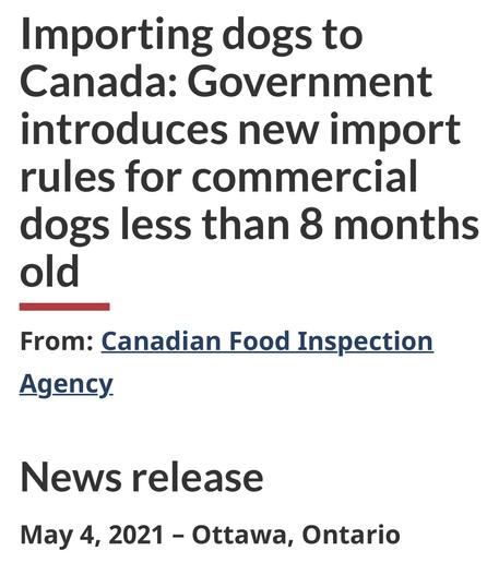 Importing dogs to
Canada: Government
introduces new import
rules for commercial
dogs less than 8 months
old

From: Canadian Food Inspection
Agency

News release

May 4, 2021 - Ottawa, Ontario