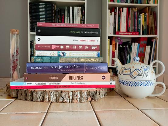 Une photo des livres cités empilés les uns sur les autres devant des bibliothèques.