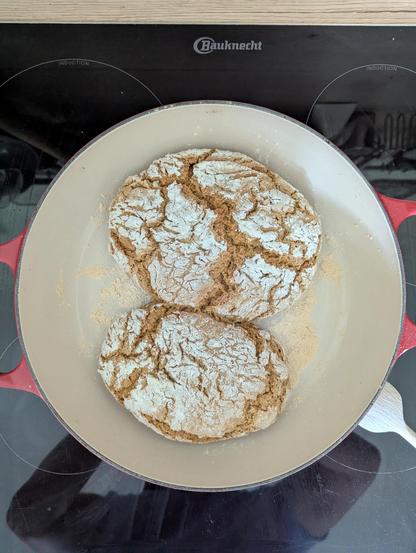 The image shows two round, baked goods with a cracked, textured surface, likely cookies or biscuits, placed in a white, round pan with red handles. The pan is on a black induction cooktop with the brand "Bauknecht" visible. The baked goods are dusted with white powder, possibly flour, and have a golden-brown color. The pan is centered on the cooktop, with the reflection of the cooktop and surroundings visible in the glossy surface. The cookies are positioned with one slightly overlapping the other, and there is some flour scattered around the pan.


Provided by @altbot, generated privately and locally using Ovis2-8B