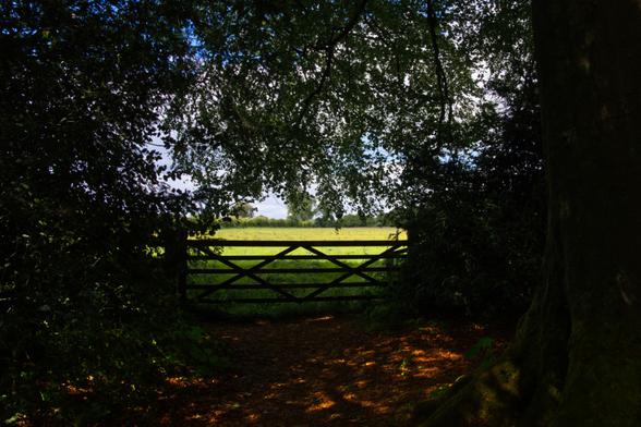A five bar gate in silhouette, shaded by trees which frame the picture, with a green field in bright sunshine beyond.
