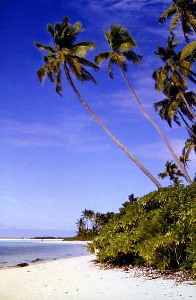 A deep blue sky with streaky white clouds. A pale sand beach on an aqua and blue ocean. A cluster of tall palm trees lean out over the beach from a little knoll covered with leafy shrubs. The beach winds around a bay to a small peninsula with another cluster of shrubs and palm trees. A small, very low wooded islet not far offshore lies beyond.