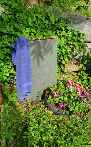 Douglas Adams' grave with blue towel on the gravestone in 2022. There is much more greenery and a flower pot with red petals of some sort. A different box of pens sits on the left