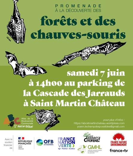 Affiche de la balade à la découverte des chauves souris le samedi 7 juin à 14h au parking de la cascade des jarrauds à Saint-Martin-Château . Dessins noir et blancs de pipistrelle, noctule, rhinolophe, oreillard, sur un fond vert
