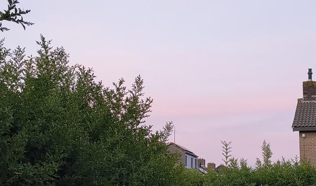 Heel zacht paarsroze strepen in de lucht. En ja de heg moet gesnoeid. Morgen. Of overmorgen.